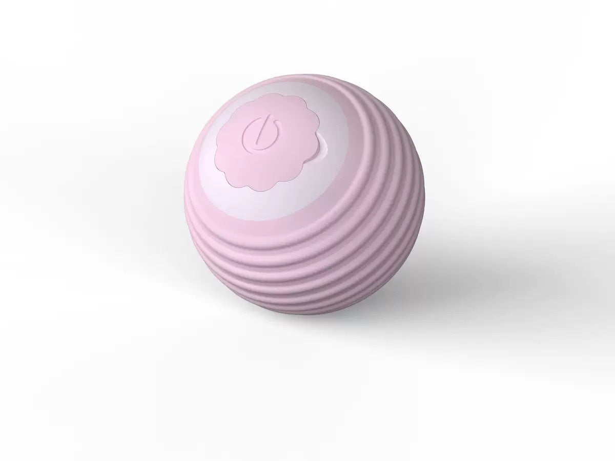 Interactive Cat Teaser Ball