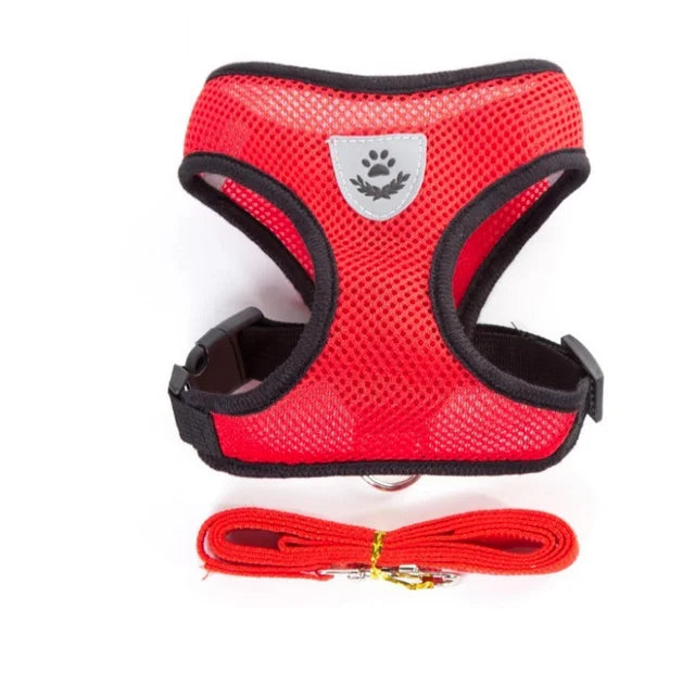 Breathable Mesh Pet Harness & Leash Set