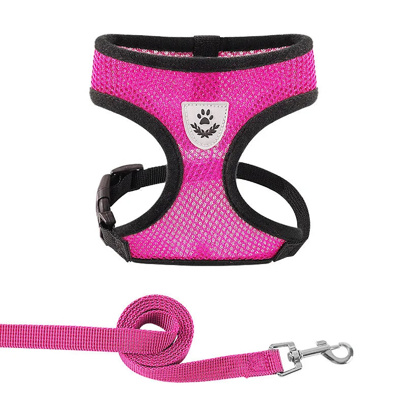 Soft Mesh Cat & Small Dog Harness with Leash