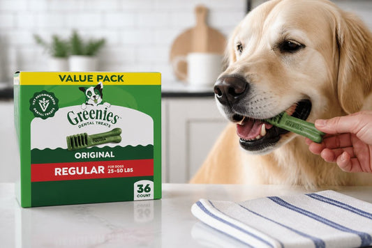 Benefits of Regular Pet Dental Care: A Complete Guide