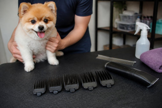 Best Dog Clipper Attachments for Different Coat Types