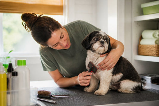 How to Groom Anxious Dogs at Home: A Step-by-Step Guide