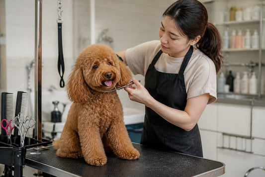 Is Professional Pet Grooming Worth It? 2026 Guide