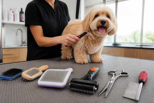 Premium Dog Grooming Tools Benefits: A Complete Guide