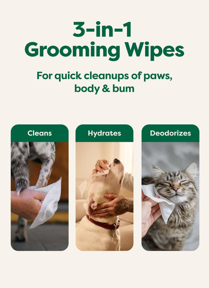 Earth Rated Dog Wipes for Paws & Butt, Deodorizing, Lavender, 100ct