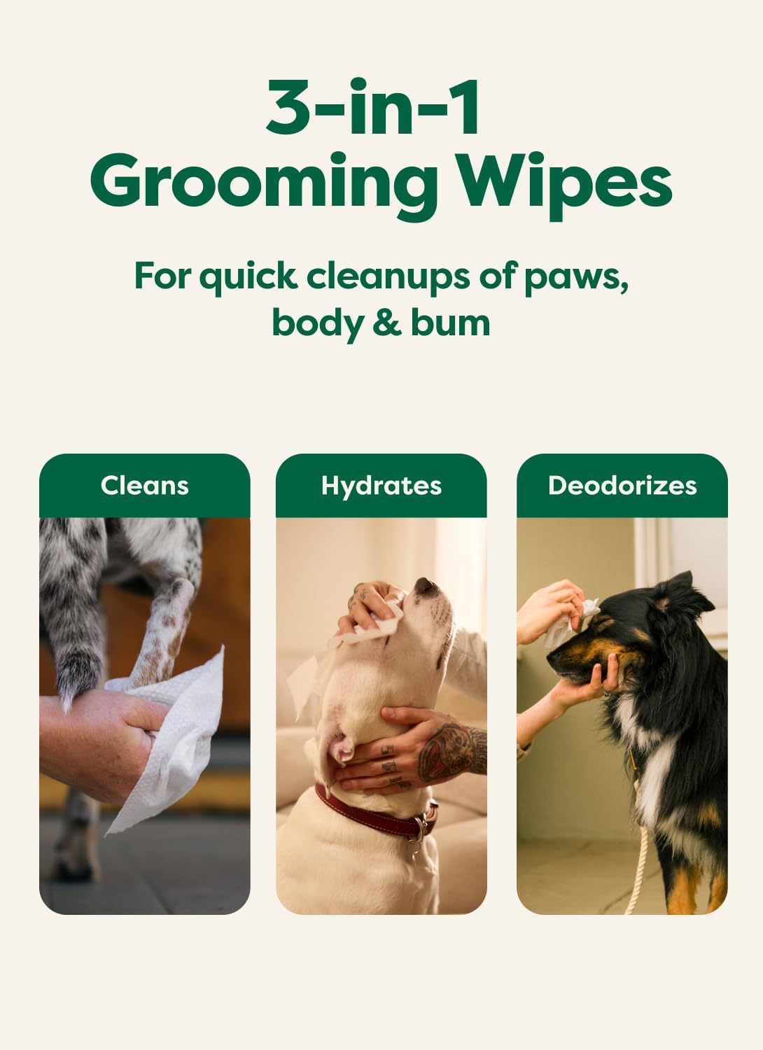 Earth Rated Dog Wipes for Paws & Butt, Deodorizing, Lavender, 100ct
