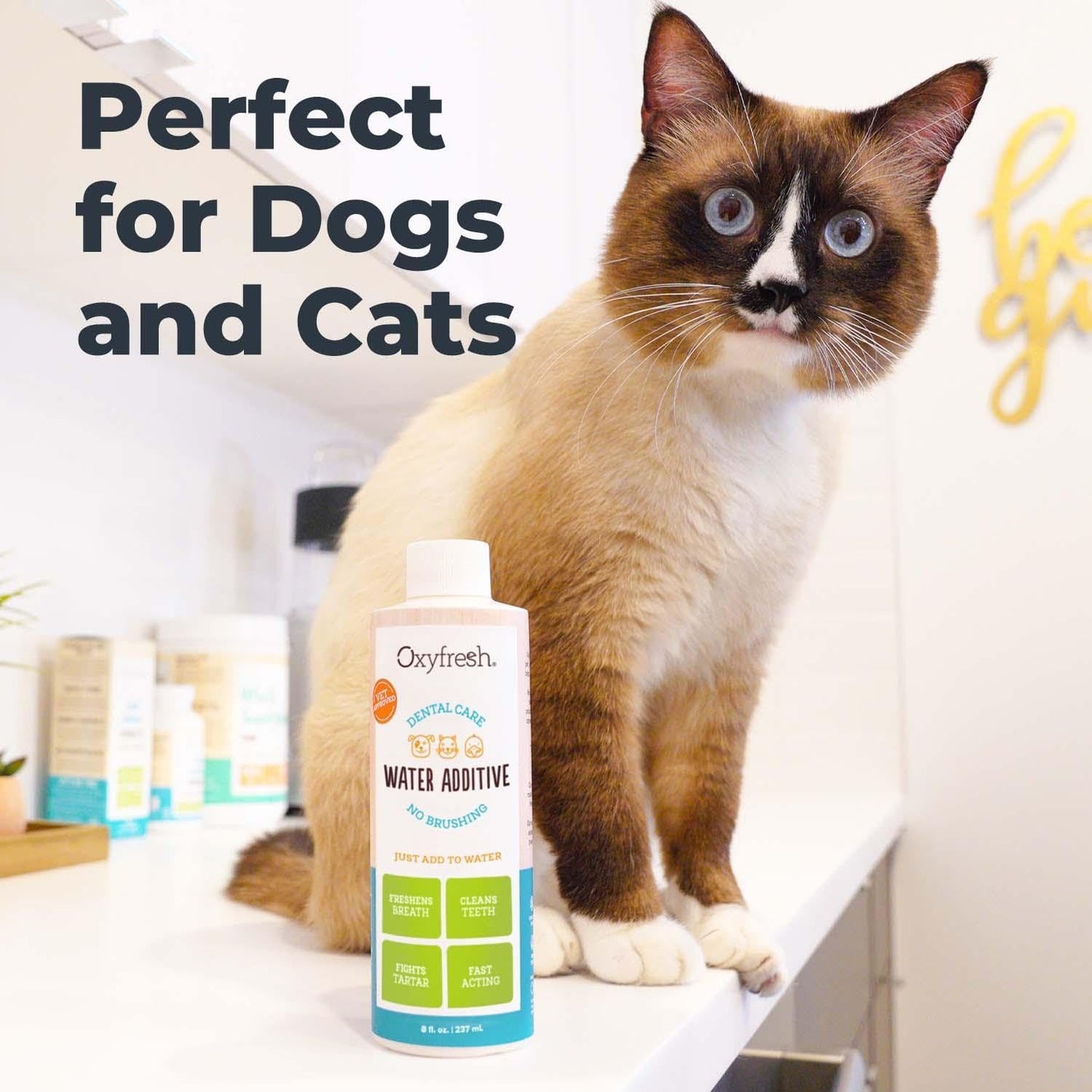 Oxyfresh Pet Dental Water Additive - 16 oz.