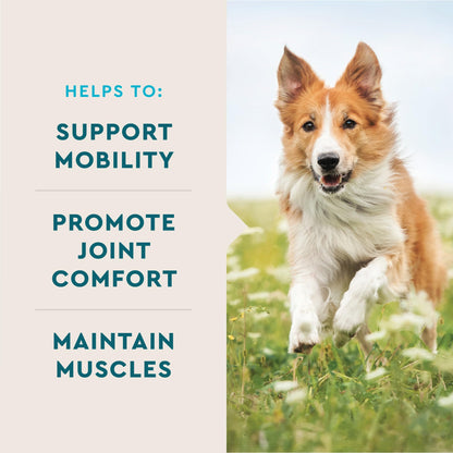VetIQ Glucosamine Hip & Joint Supplement for Dogs, 180 Soft Chews, Joint Support Supplement with MSM and Krill, Dog Health Supplies Large & Small Breed, Chicken Flavored Chewables