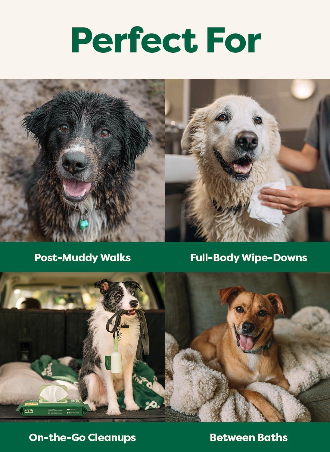 Earth Rated Dog Wipes for Paws & Butt, Deodorizing, Lavender, 100ct