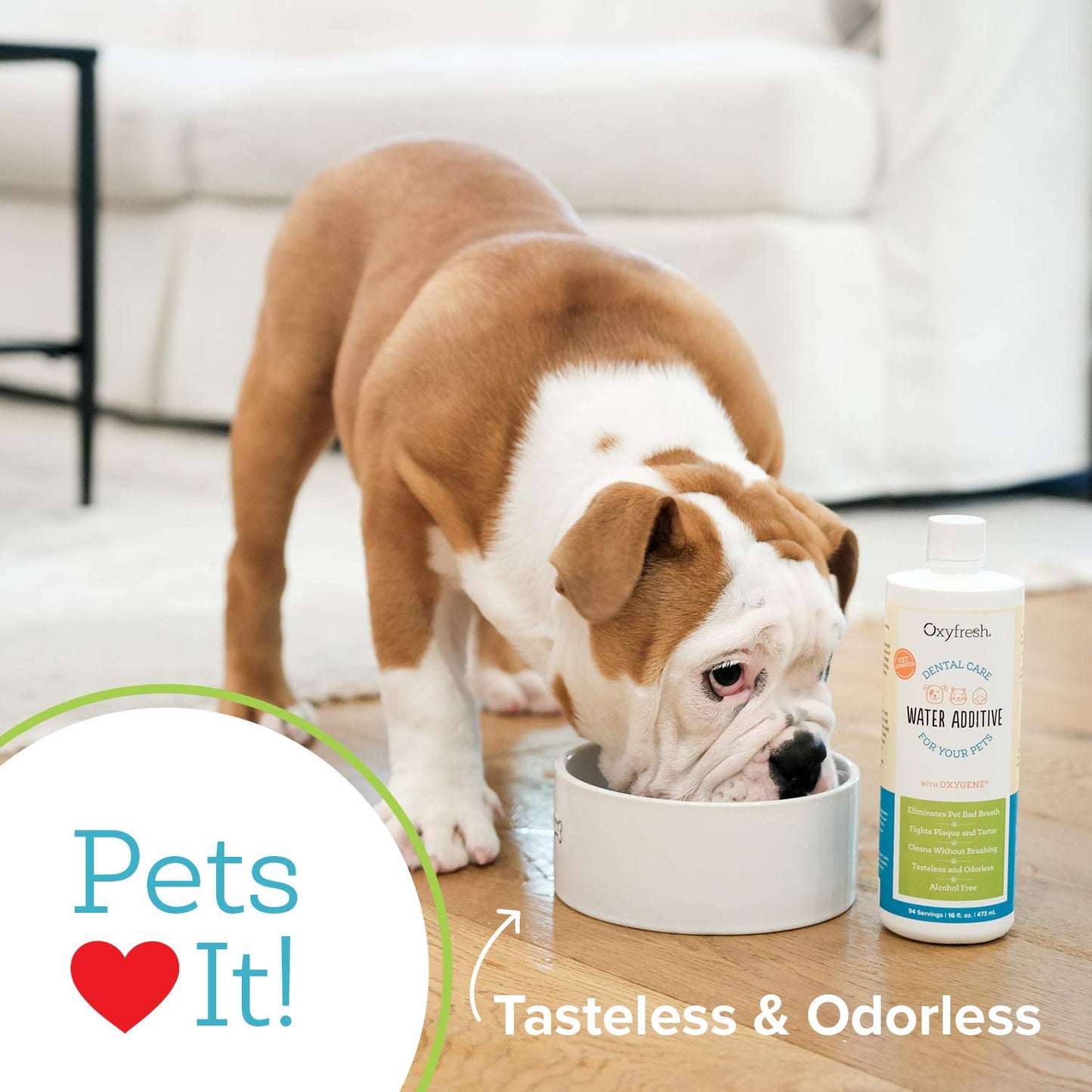 Oxyfresh Pet Dental Water Additive - 16 oz.
