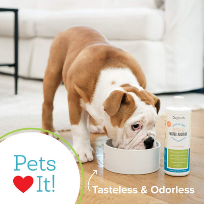 Oxyfresh Pet Dental Water Additive - 16 oz.