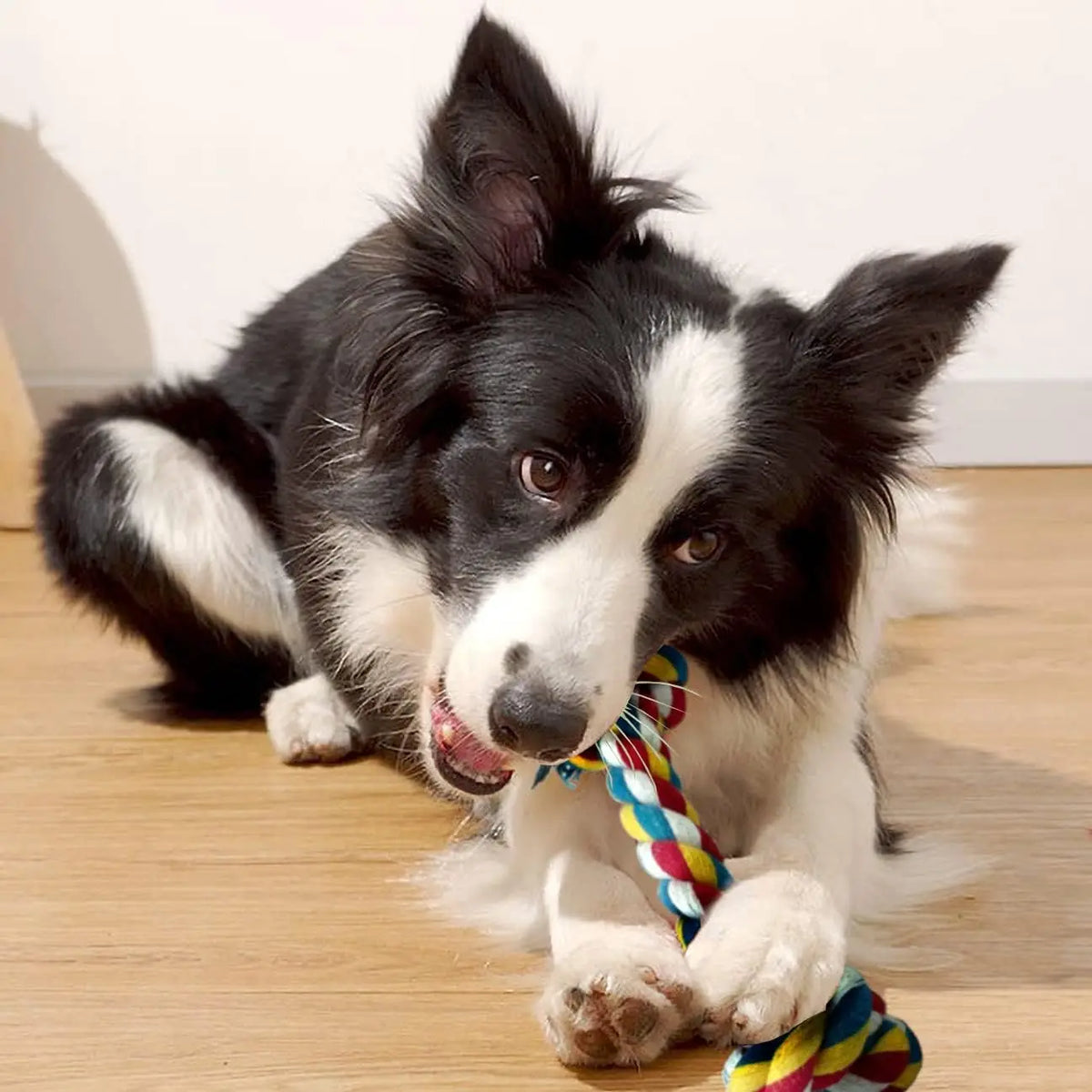 Double-Knot Dog Rope Chew Toy