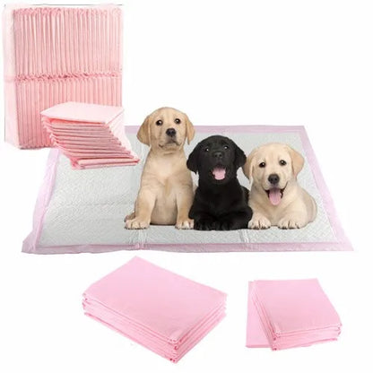 Pet Supplies Small Dogs Potty Pad for Puppy Training Mats Pet Pads for Dogs Pee Pads Pet Supplies Wholesale