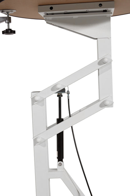 Height-Adjustable Pet Grooming Table