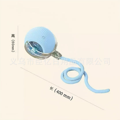 Interactive Cat Teaser Ball
