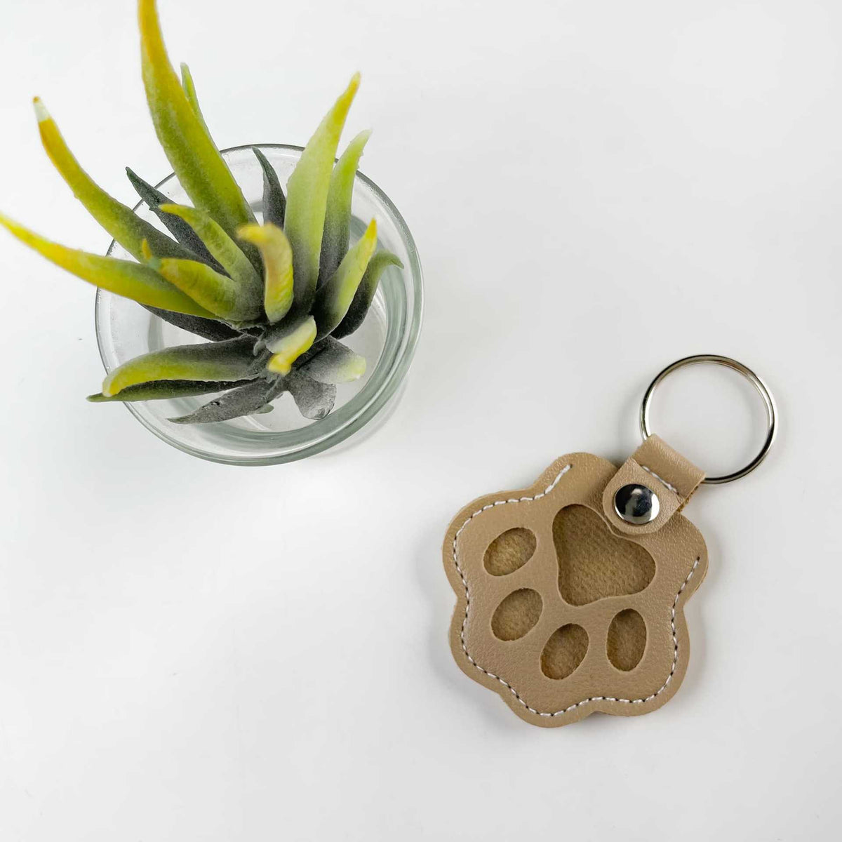 Dog Paw Pet Hair Keepsake Keychain