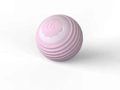 Interactive Cat Teaser Ball