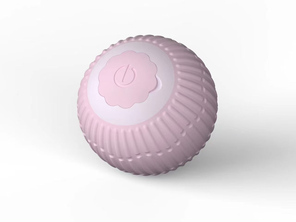 Interactive Cat Teaser Ball