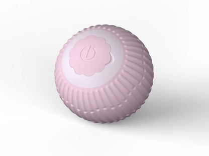 Interactive Cat Teaser Ball