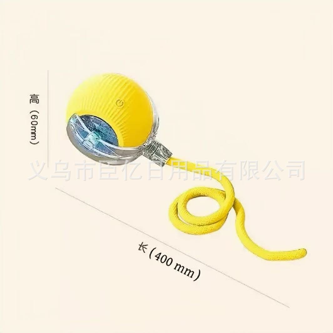 Interactive Cat Teaser Ball