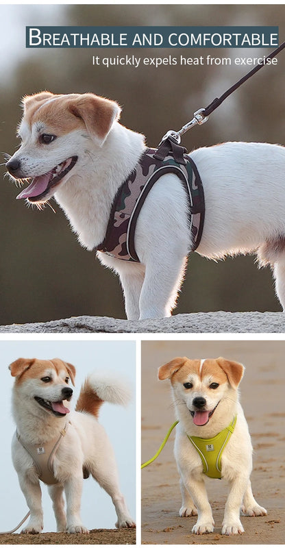 Reflective Adjustable Dog Harness & Leash Set