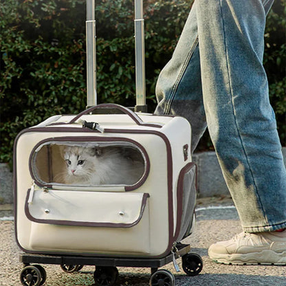 Rolling Cat & Small Dog Carrier