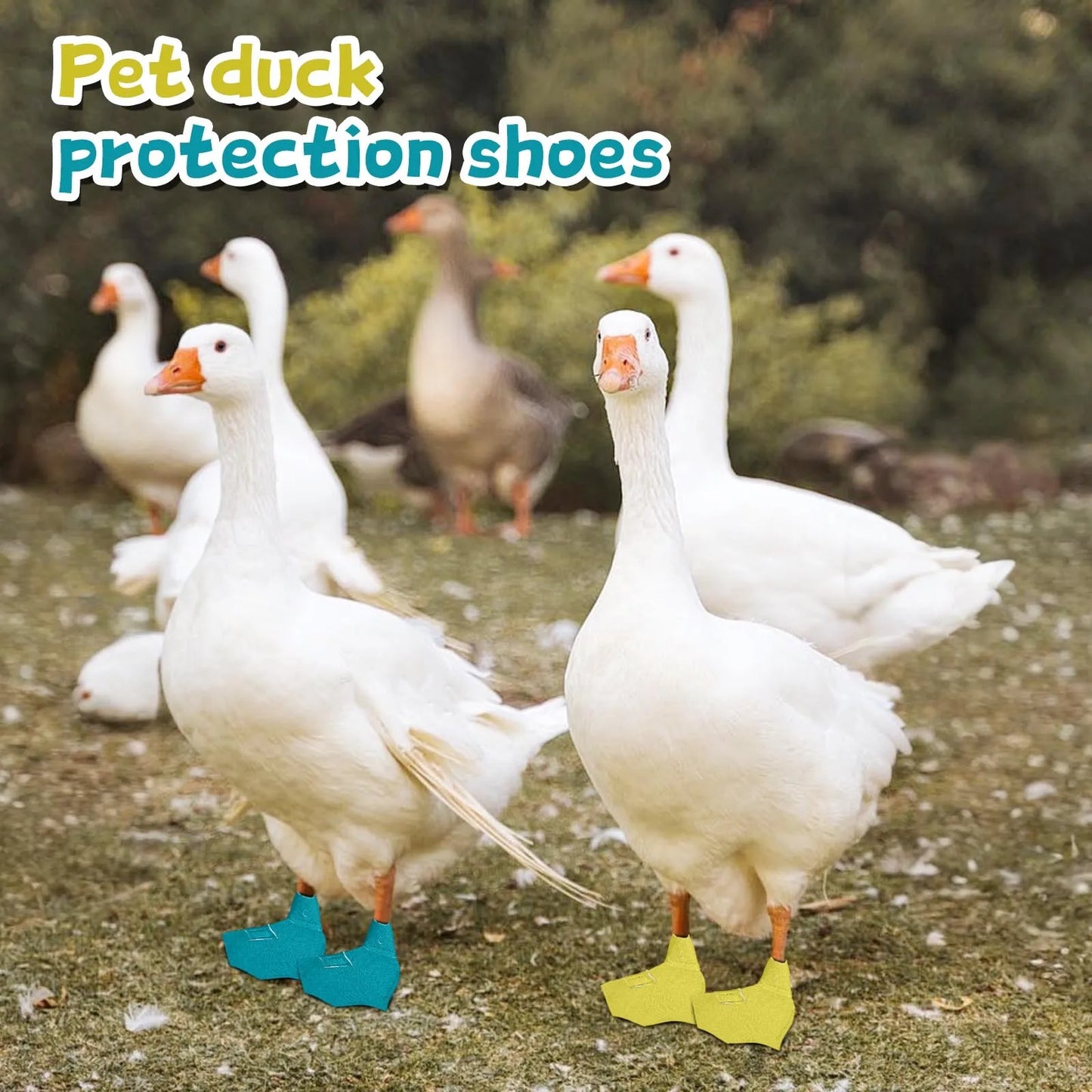 Pet Supplies Duck Goose Shoes