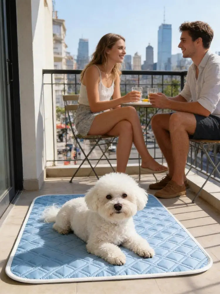 45 × 35 cm Pet Cooling Pad