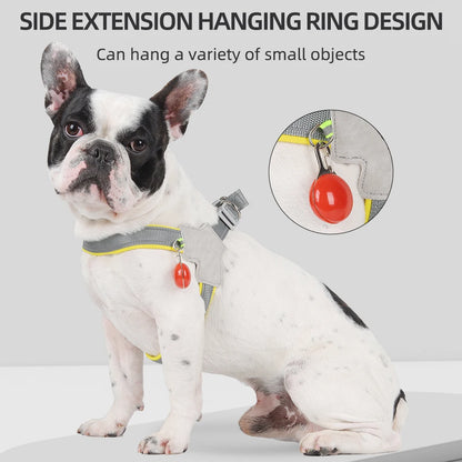 Reflective No-Pull Harness for Small & Medium Dogs