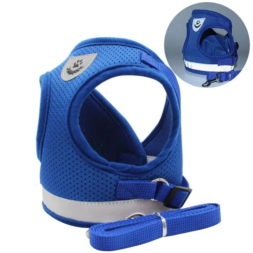 Reflective Escape-Resistant Cat Harness & Leash