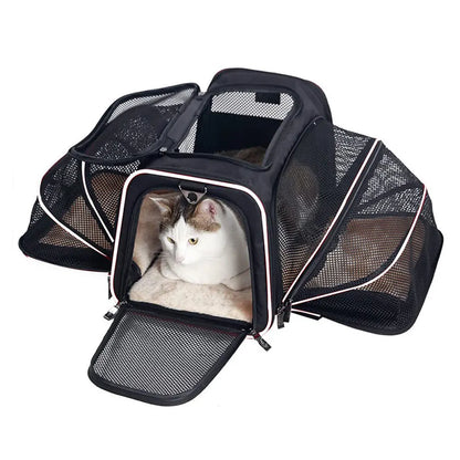 Foldable Breathable Dog & Cat Carrier