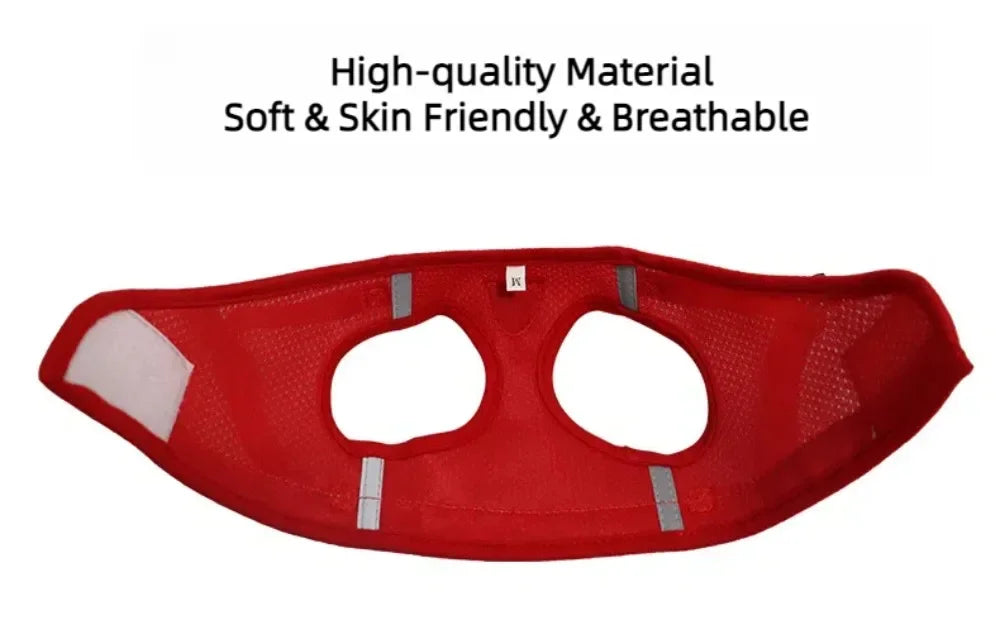 Reflective Escape-Resistant Cat Harness & Leash