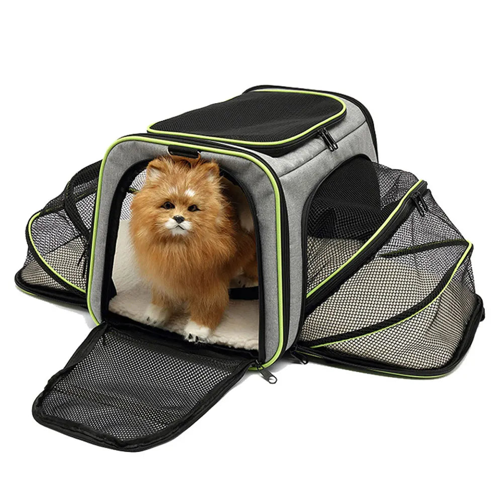 Foldable Breathable Dog & Cat Carrier