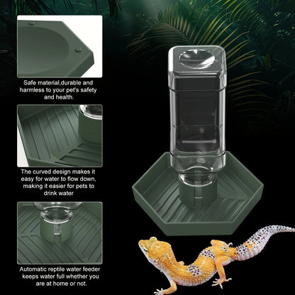 Automatic Reptile Food & Water Feeder