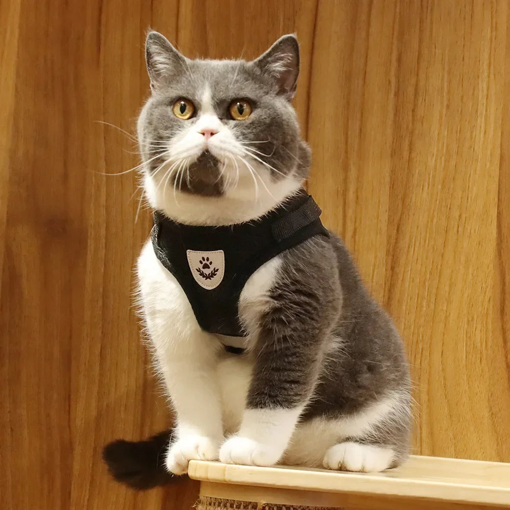 Reflective Escape-Resistant Cat Harness & Leash
