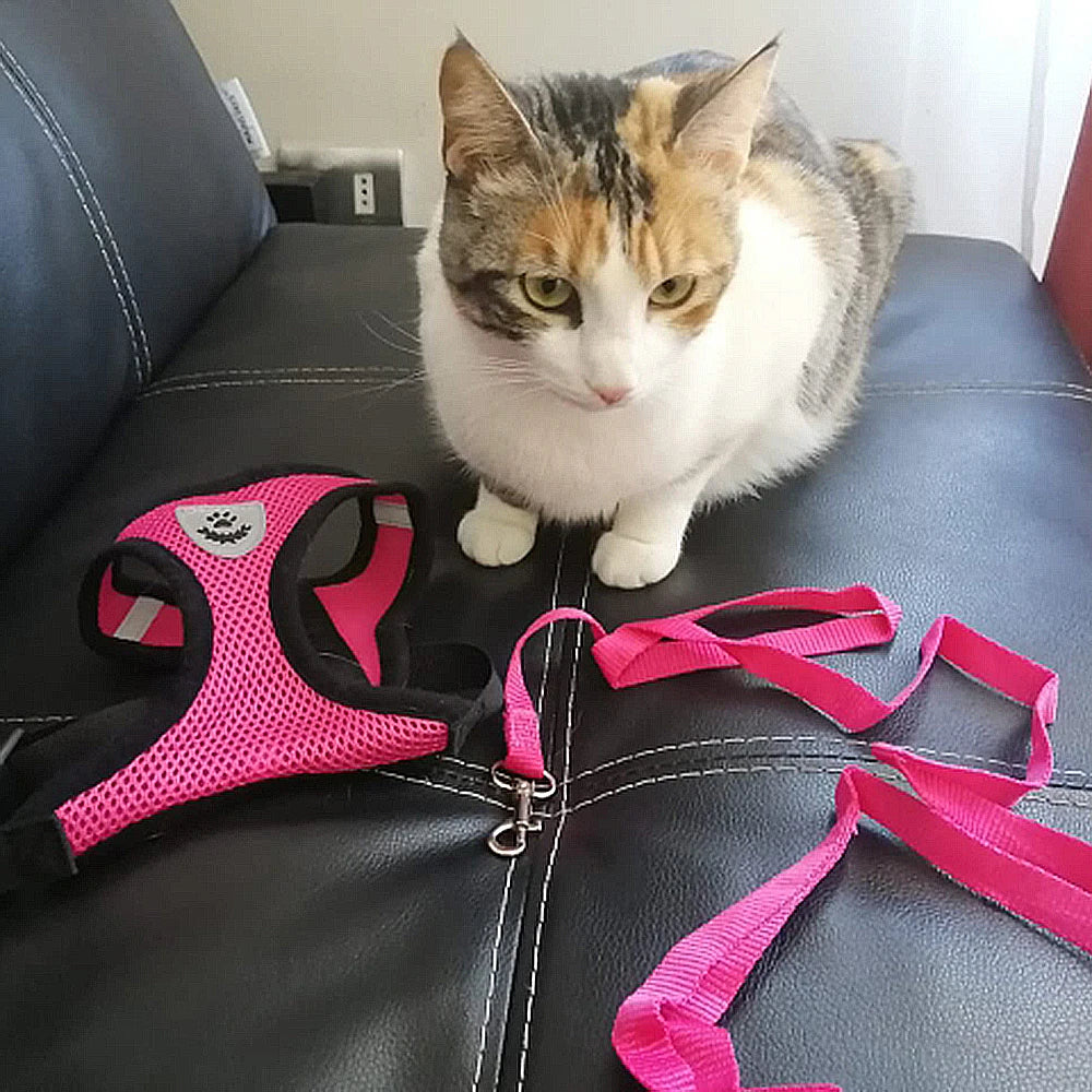 Soft Mesh Cat & Small Dog Harness with Leash