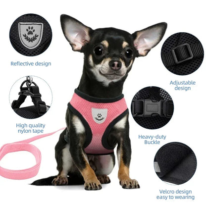 Soft Mesh Cat & Small Dog Harness with Leash