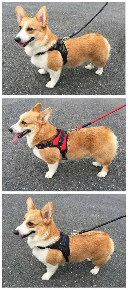 Breathable Quick-Release Dog Harness