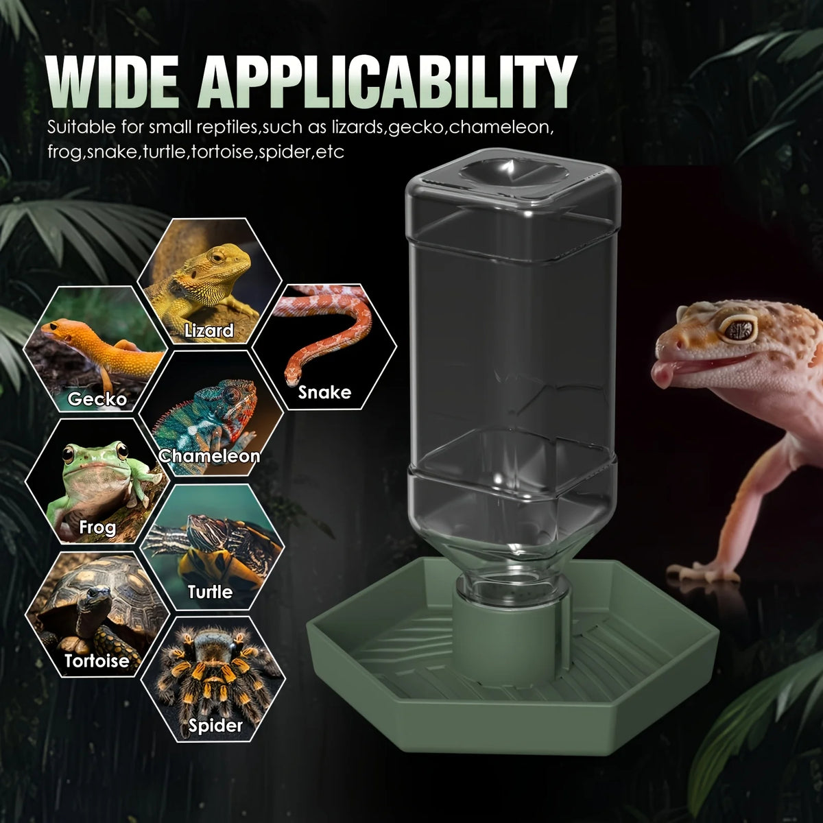 Automatic Reptile Food & Water Feeder