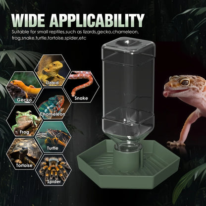 Automatic Reptile Food & Water Feeder