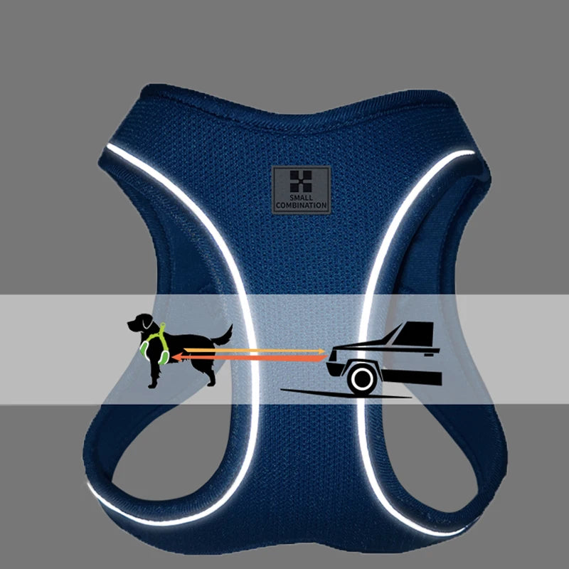 Reflective Adjustable Dog Harness & Leash Set