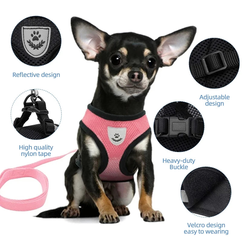 Soft Mesh Cat & Small Dog Harness with Leash
