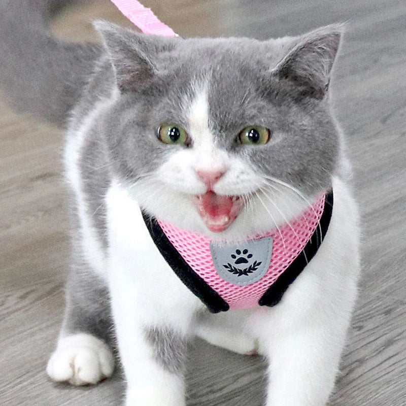 Soft Mesh Cat & Small Dog Harness with Leash