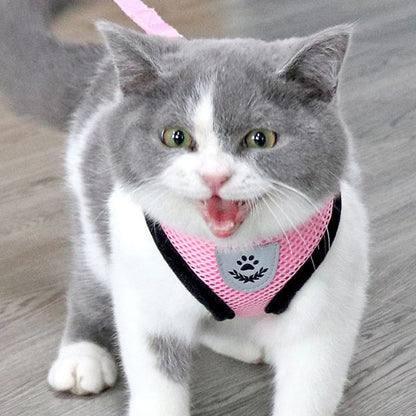 Soft Mesh Cat & Small Dog Harness with Leash