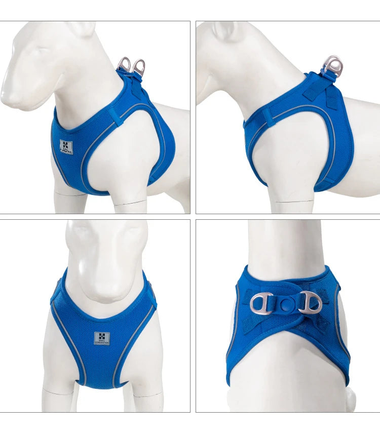 Reflective Adjustable Dog Harness & Leash Set