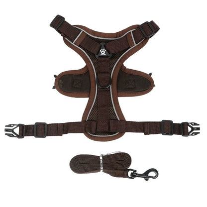 Reflective No-Pull Harness & Leash Set