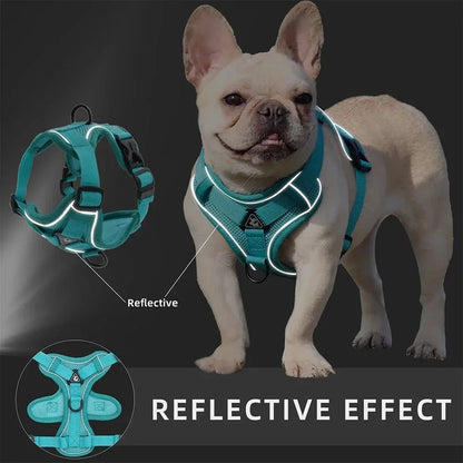 Reflective No-Pull Harness & Leash Set