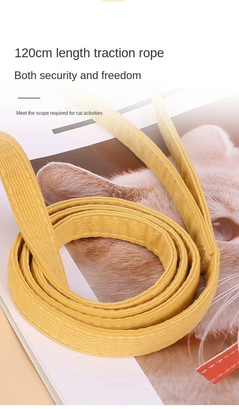 Bee-Themed Pet Harness & Leash Set