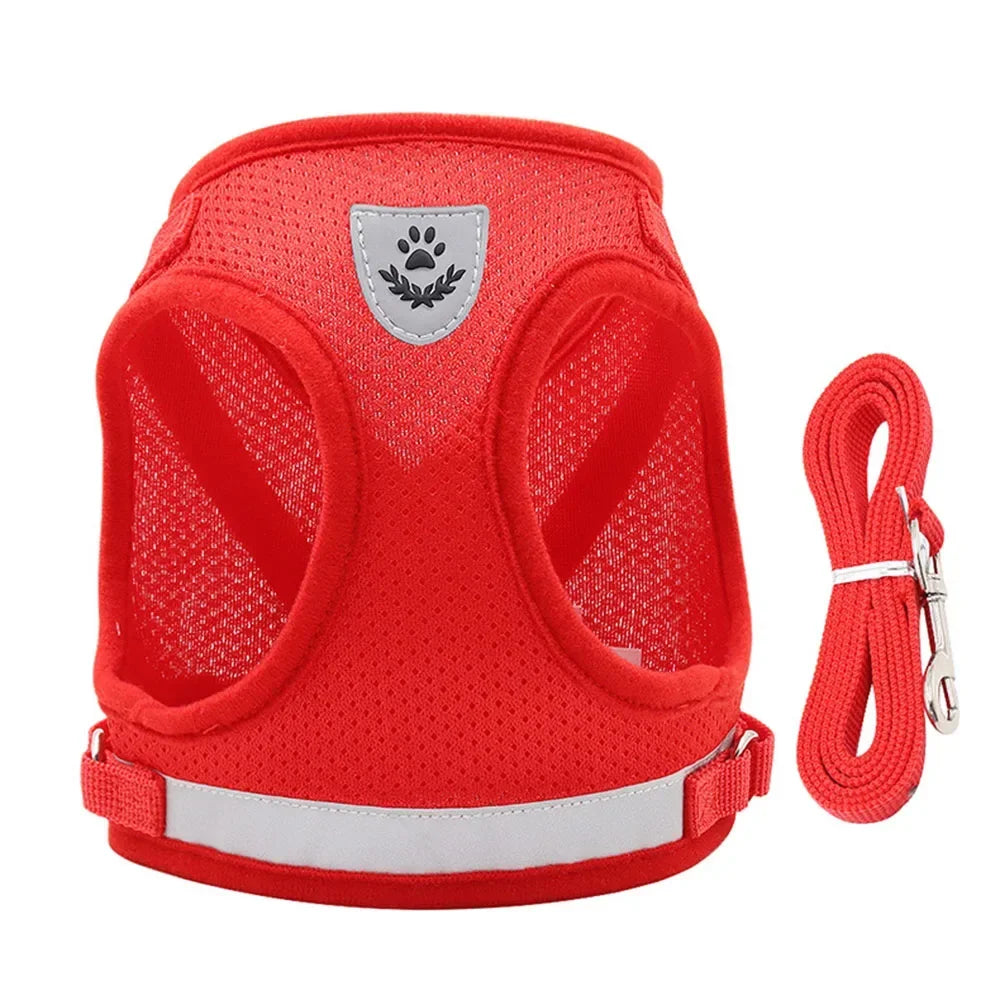 Reflective Escape-Resistant Cat Harness & Leash