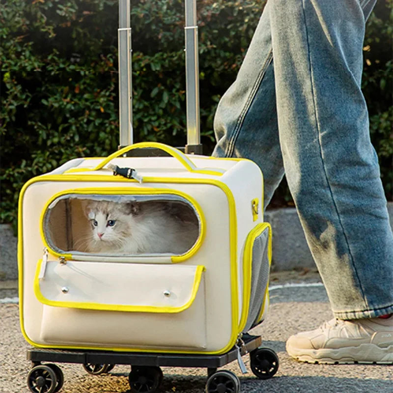 Rolling Cat & Small Dog Carrier